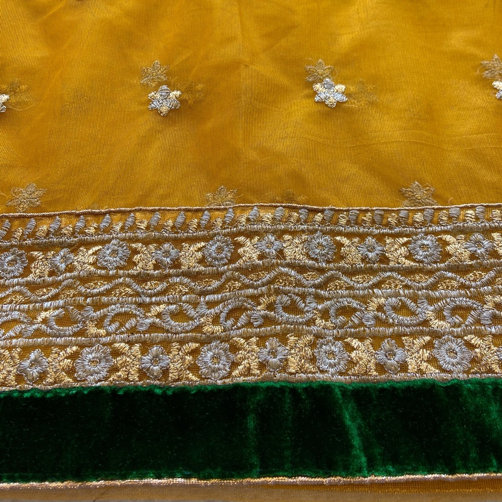 Beautiful Indian Boutique Net Saree Blouse